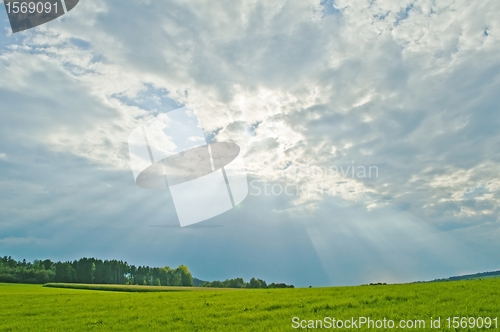 Image of shafts of sunlight