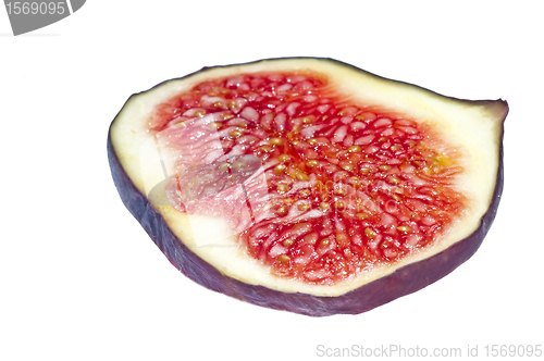 Image of closeup of a cut of a fig 