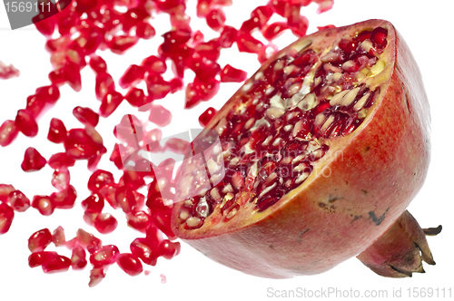 Image of pomegranate