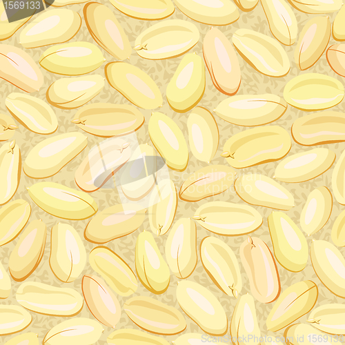 Image of yellow clear roasted peanuts seamless
