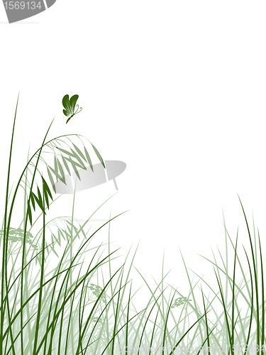 Image of Vector grass silhouettes background