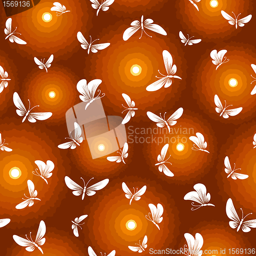 Image of night butterfly moth seamless