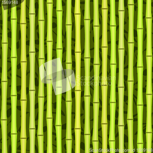 Image of seamless green bamboo texture