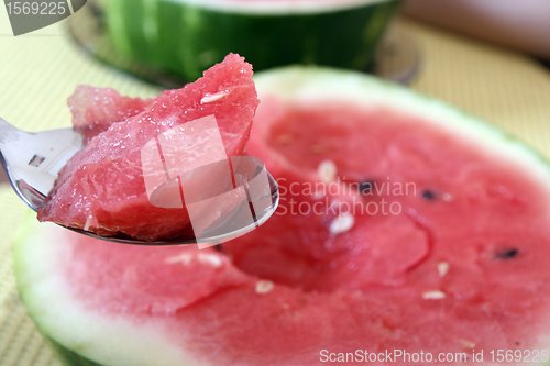 Image of Watermelon