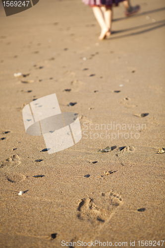 Image of Footprints in sand