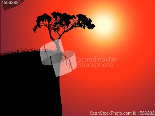 Image of single lonely tree on the brink