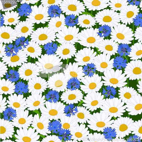 Image of Seamless camomiles and cornflower pattern