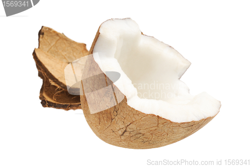 Image of Fresh coconut and coconut shells