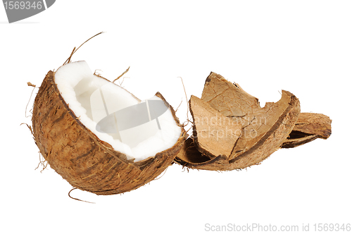 Image of Fresh coconut and coconut shells