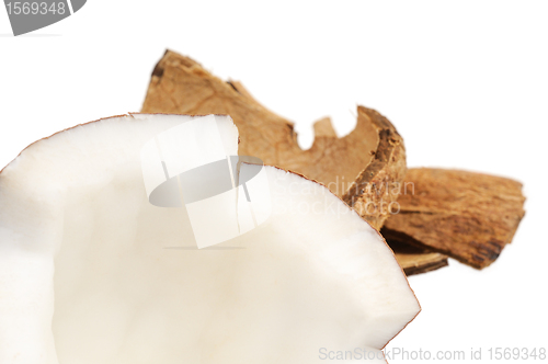 Image of Fresh coconut and coconut shells