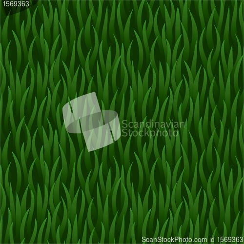 Image of green grass field seamless background