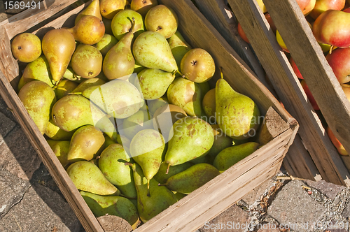 Image of pear 