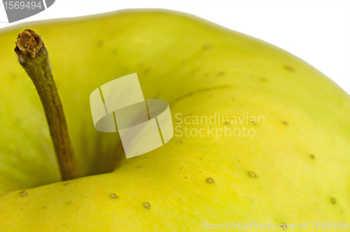 Image of apple
