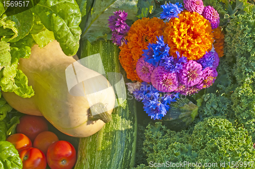 Image of decoration for thanksgiving