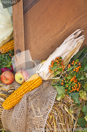 Image of decoration for thanksgiving