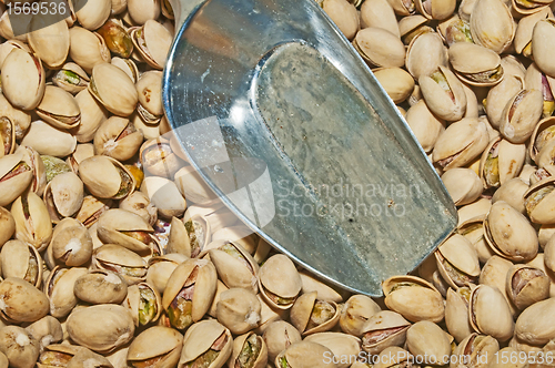 Image of pistachio