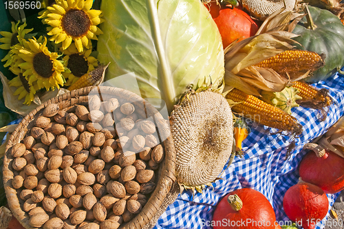 Image of decoration for thanksgiving