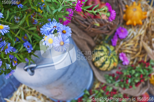 Image of decoration for thanksgiving