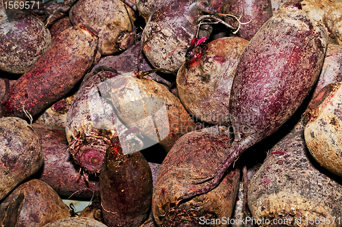 Image of beetroot