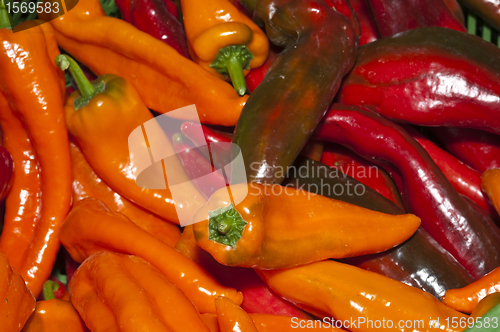 Image of pepper