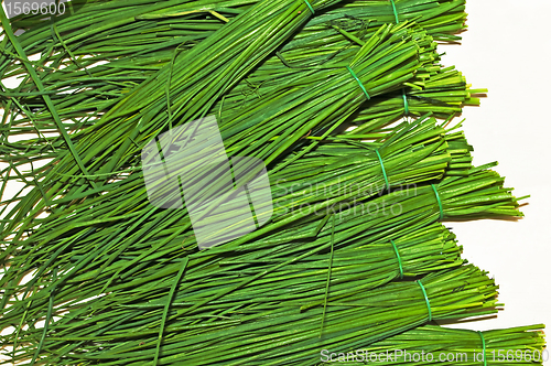 Image of chive