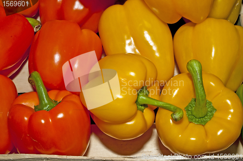 Image of pepper