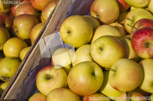 Image of apples in a box