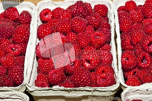 Image of raspberry