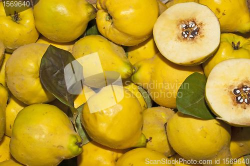 Image of quince