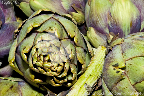 Image of artichoke