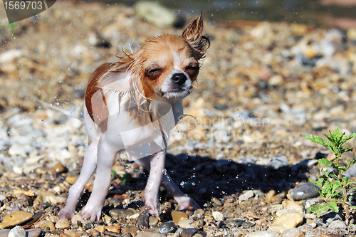 Image of after bath