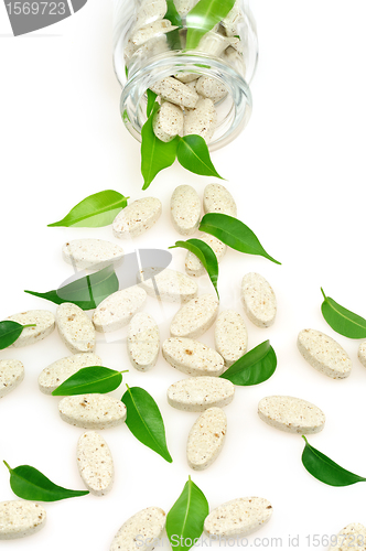 Image of Herbal supplement pills and fresh leaves  spilling out of bottle