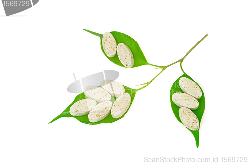 Image of Natural supplement pills and fresh leaves – alternative medicine concept