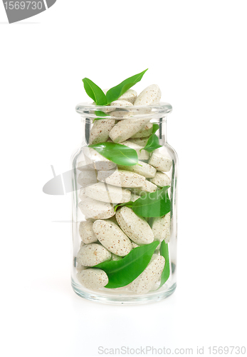 Image of Herbal supplement pills and fresh leaves  in glass – alternative medicine concept