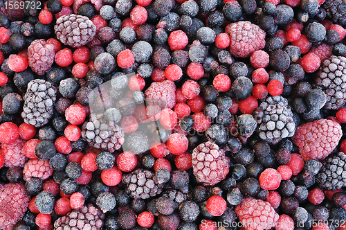 Image of Close up of frozen mixed fruit  - berries 