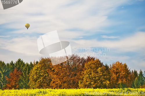 Image of hot-air balloon with autumnal painted forest