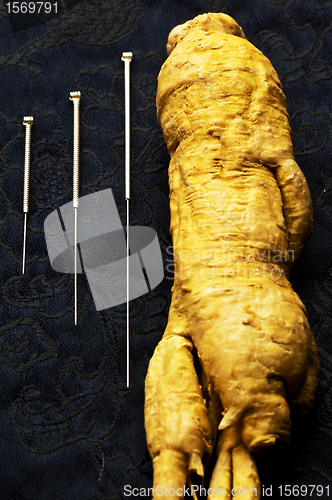 Image of Acupuncture needles and Ginseng