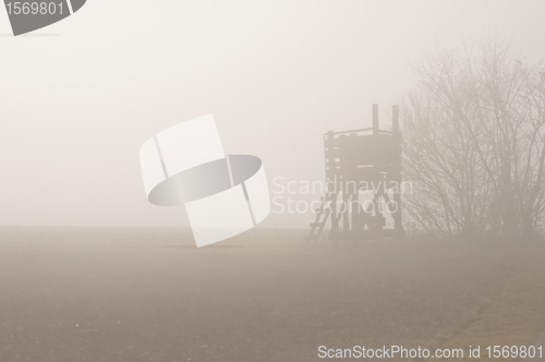 Image of descending fog in autumn