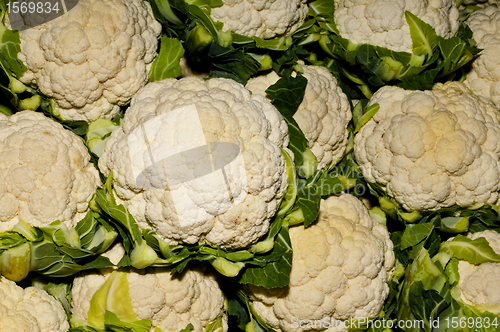 Image of cauliflower