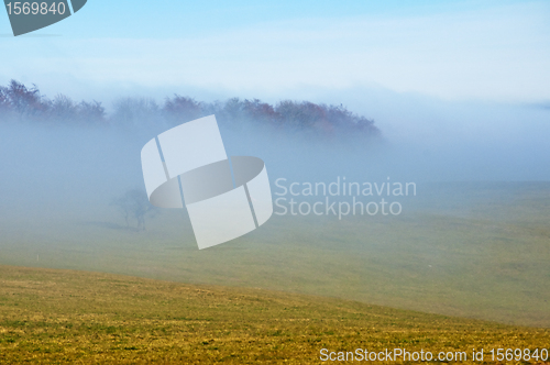 Image of descending fog in autumn