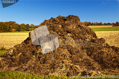 Image of dung heap