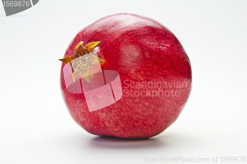 Image of pomegranate