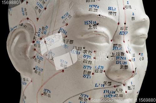 Image of Acupuncture head model