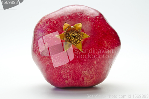 Image of pomegranate