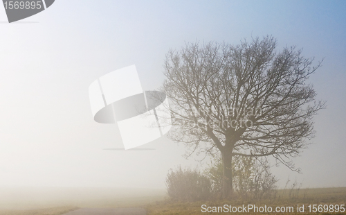 Image of descending fog in autumn