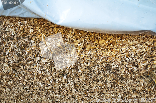 Image of silage fodder