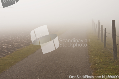 Image of descending fog in autumn