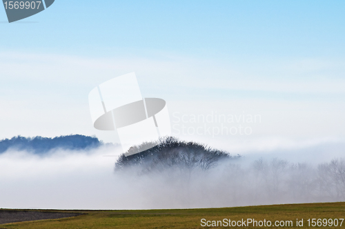 Image of descending fog in autumn