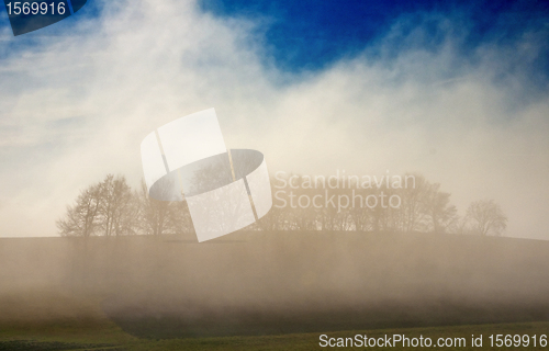 Image of descending fog in autumn