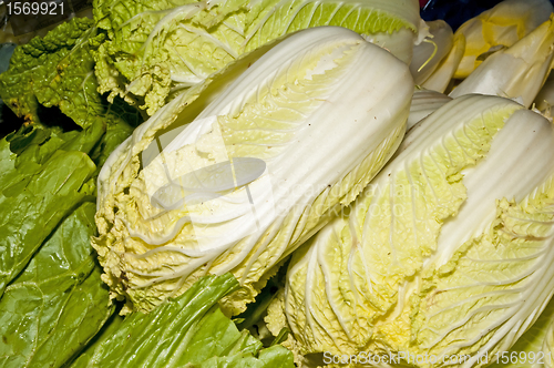 Image of chinese kale
